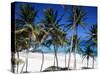 Bottom Bay, Barbados, West Indies, Caribbean, Central America-John Miller-Stretched Canvas