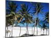 Bottom Bay, Barbados, West Indies, Caribbean, Central America-John Miller-Mounted Photographic Print