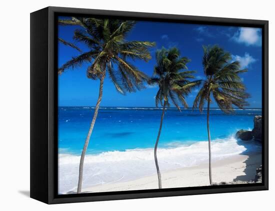 Bottom Bay, Barbados, West Indies, Caribbean, Central America-John Miller-Framed Stretched Canvas