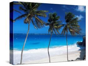 Bottom Bay, Barbados, West Indies, Caribbean, Central America-John Miller-Stretched Canvas