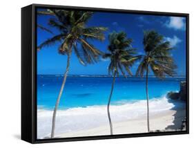 Bottom Bay, Barbados, West Indies, Caribbean, Central America-John Miller-Framed Stretched Canvas