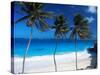 Bottom Bay, Barbados, West Indies, Caribbean, Central America-John Miller-Stretched Canvas