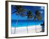 Bottom Bay, Barbados, West Indies, Caribbean, Central America-John Miller-Framed Photographic Print