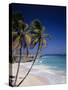 Bottom Bay, Barbados-null-Stretched Canvas