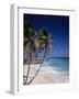 Bottom Bay, Barbados-null-Framed Photographic Print