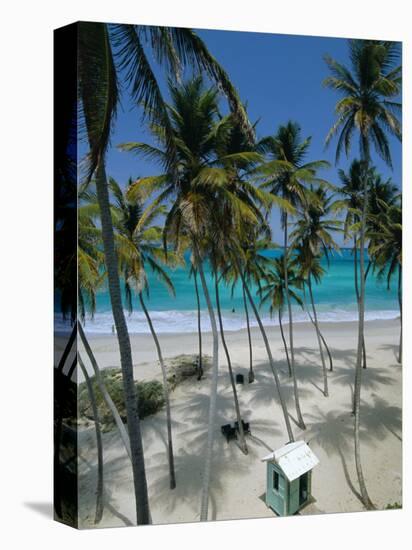 Bottom Bay Beach, East Coast, Barbados, Windward Islands, West Indies, Caribbean, Central America-Sylvain Grandadam-Stretched Canvas