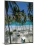 Bottom Bay Beach, East Coast, Barbados, Windward Islands, West Indies, Caribbean, Central America-Sylvain Grandadam-Mounted Photographic Print