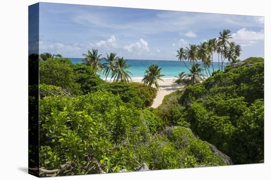 Bottom Bay, St. Philip, Barbados, West Indies, Caribbean, Central America-Frank Fell-Stretched Canvas