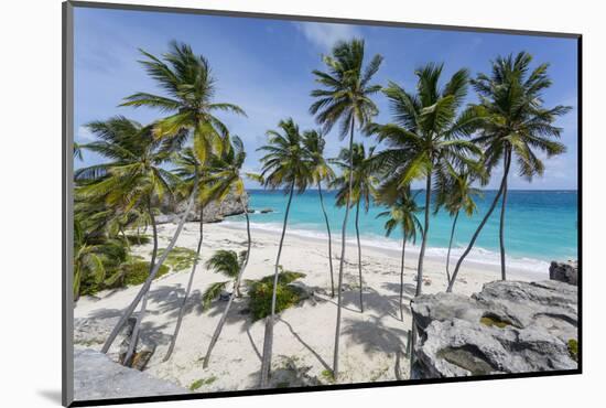 Bottom Bay, St. Philip, Barbados, West Indies, Caribbean, Central America-Frank Fell-Mounted Photographic Print