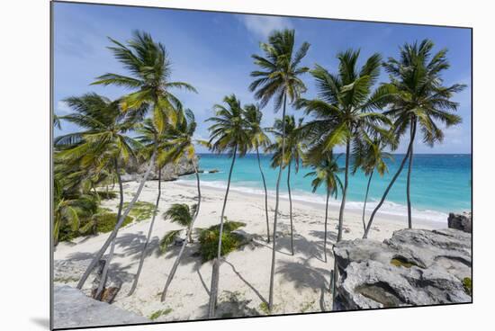 Bottom Bay, St. Philip, Barbados, West Indies, Caribbean, Central America-Frank Fell-Mounted Photographic Print