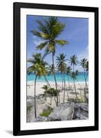 Bottom Bay, St. Philip, Barbados, West Indies, Caribbean, Central America-Frank Fell-Framed Photographic Print