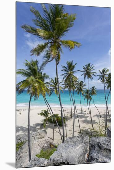 Bottom Bay, St. Philip, Barbados, West Indies, Caribbean, Central America-Frank Fell-Mounted Premium Photographic Print