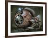 Bottom Feeder-Jason Limon-Framed Giclee Print