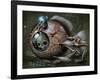 Bottom Feeder-Jason Limon-Framed Giclee Print