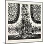 Bottom of Decoration for Room-null-Mounted Giclee Print