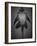 Bottom View of Catfish-Henry Horenstein-Framed Photographic Print