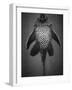 Bottom View of Catfish-Henry Horenstein-Framed Photographic Print