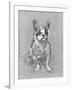 Bouboule', the Bulldog of Madame Palmyre at La Souris, 1897-Henri de Toulouse-Lautrec-Framed Photographic Print