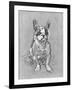 Bouboule', the Bulldog of Madame Palmyre at La Souris, 1897-Henri de Toulouse-Lautrec-Framed Photographic Print