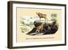 Bouc et Chevre de la Haute Egypte-E.f. Noel-Framed Art Print