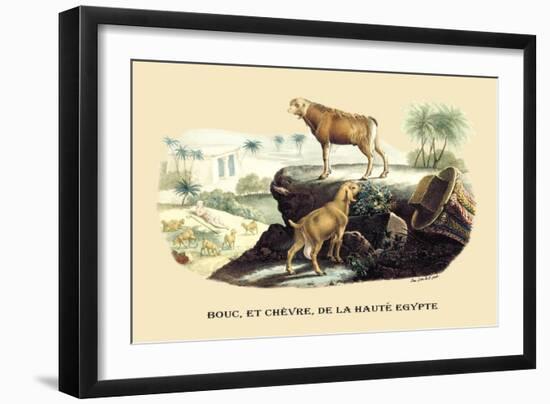 Bouc et Chevre de la Haute Egypte-E.f. Noel-Framed Art Print