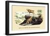 Bouc et Chevre de la Haute Egypte-E.f. Noel-Framed Art Print