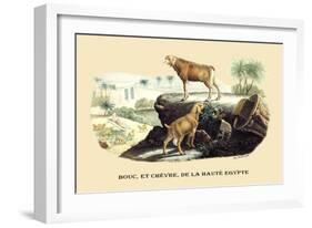 Bouc et Chevre de la Haute Egypte-E.f. Noel-Framed Art Print