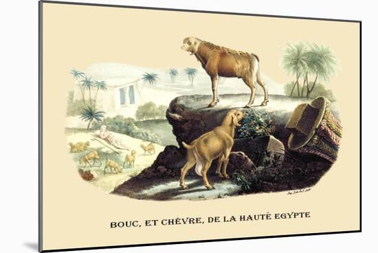 Bouc et Chevre de la Haute Egypte-E.f. Noel-Mounted Art Print