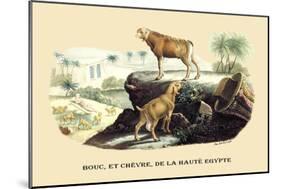 Bouc et Chevre de la Haute Egypte-E.f. Noel-Mounted Art Print