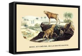 Bouc et Chevre de la Haute Egypte-E.f. Noel-Framed Stretched Canvas