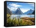 Canvas Black