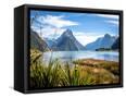 Canvas Black