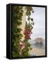 Bougainvilla Vine on Pillar, Chabil Mar Villas, Placencia, Stann Creek District, Belize-Merrill Images-Framed Stretched Canvas