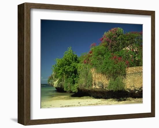 Bougainvillea Along Wall Next to Sea, Malindi, Kenya, East Africa, Africa-Strachan James-Framed Photographic Print