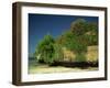 Bougainvillea Along Wall Next to Sea, Malindi, Kenya, East Africa, Africa-Strachan James-Framed Photographic Print