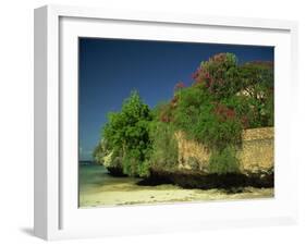 Bougainvillea Along Wall Next to Sea, Malindi, Kenya, East Africa, Africa-Strachan James-Framed Photographic Print