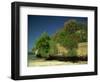 Bougainvillea Along Wall Next to Sea, Malindi, Kenya, East Africa, Africa-Strachan James-Framed Photographic Print