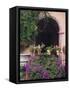 Bougainvillea and Geranium Pots on Wall in Courtyard, San Miguel De Allende, Mexico-Nancy Rotenberg-Framed Stretched Canvas