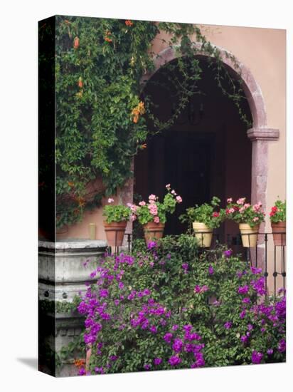 Bougainvillea and Geranium Pots on Wall in Courtyard, San Miguel De Allende, Mexico-Nancy Rotenberg-Stretched Canvas