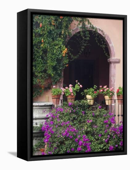 Bougainvillea and Geranium Pots on Wall in Courtyard, San Miguel De Allende, Mexico-Nancy Rotenberg-Framed Stretched Canvas