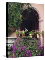 Bougainvillea and Geranium Pots on Wall in Courtyard, San Miguel De Allende, Mexico-Nancy Rotenberg-Stretched Canvas