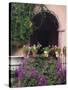 Bougainvillea and Geranium Pots on Wall in Courtyard, San Miguel De Allende, Mexico-Nancy Rotenberg-Stretched Canvas