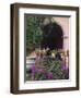 Bougainvillea and Geranium Pots on Wall in Courtyard, San Miguel De Allende, Mexico-Nancy Rotenberg-Framed Photographic Print