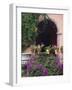 Bougainvillea and Geranium Pots on Wall in Courtyard, San Miguel De Allende, Mexico-Nancy Rotenberg-Framed Photographic Print