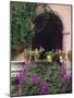 Bougainvillea and Geranium Pots on Wall in Courtyard, San Miguel De Allende, Mexico-Nancy Rotenberg-Mounted Photographic Print