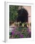 Bougainvillea and Geranium Pots on Wall in Courtyard, San Miguel De Allende, Mexico-Nancy Rotenberg-Framed Photographic Print