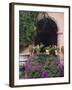 Bougainvillea and Geranium Pots on Wall in Courtyard, San Miguel De Allende, Mexico-Nancy Rotenberg-Framed Photographic Print