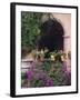 Bougainvillea and Geranium Pots on Wall in Courtyard, San Miguel De Allende, Mexico-Nancy Rotenberg-Framed Photographic Print