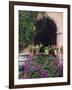 Bougainvillea and Geranium Pots on Wall in Courtyard, San Miguel De Allende, Mexico-Nancy Rotenberg-Framed Photographic Print