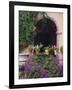 Bougainvillea and Geranium Pots on Wall in Courtyard, San Miguel De Allende, Mexico-Nancy Rotenberg-Framed Photographic Print